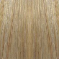 105 Amber Remy Human Hair Wig Mono-Top, Machine Back by WIGPRO