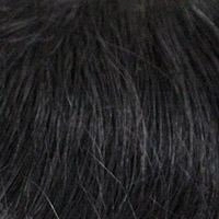 400 Men's System H by WIGPRO: Mono-top Human Hair