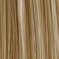 504 Anemone: Synthetic Wig by WIGPRO