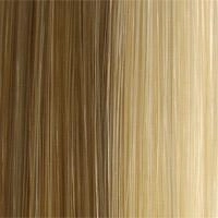 504 Anemone: Synthetic Wig by WIGPRO