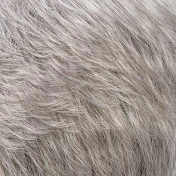 Accessories_Estetica Designs_Wigs Mono Wiglet 5