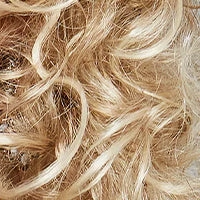 Accessories_Gisela Mayer_Ladies Wigs Hit II wig - Gisela Mayer