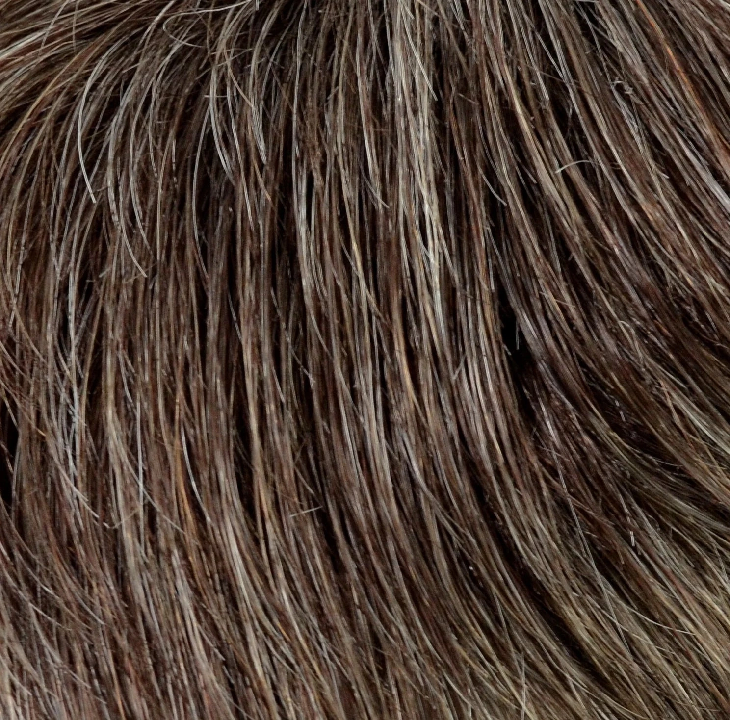 Accessories_Gisela Mayer_Ladies Wigs Zara Lace Large wig - Gisela Mayer