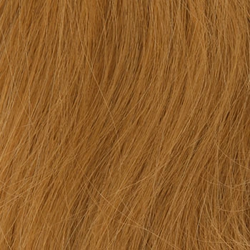 Accessories_Louis Ferre_Wigs PC 107
