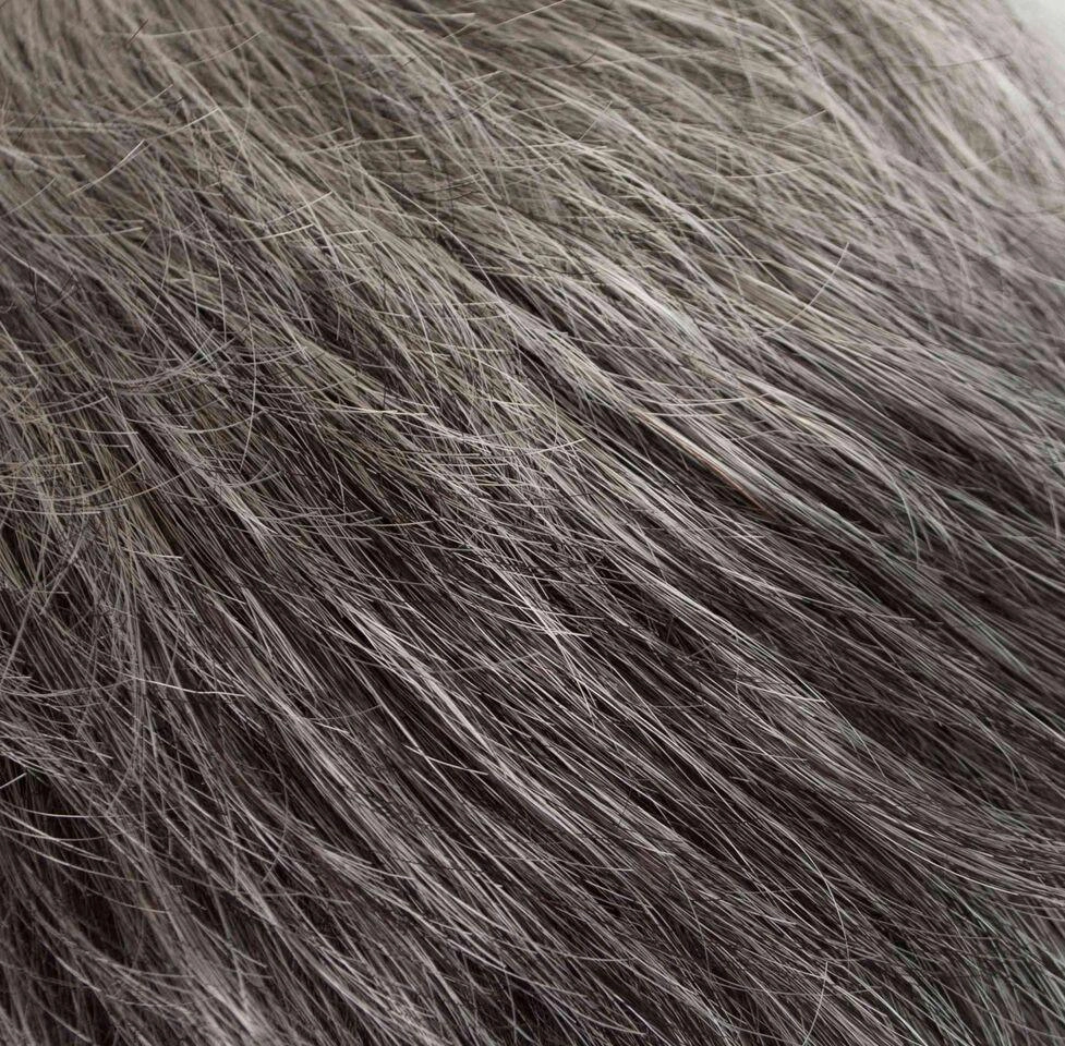 Accessories_Tony Of Beverly_Wigs Lily Wig by Tony of Beverly | Synthetic Wig (Traditional Cap)