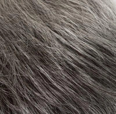 Accessories_Tony Of Beverly_Wigs Petite Fina Wig by Tony of Beverly | Synthetic Wig (Traditional Cap)