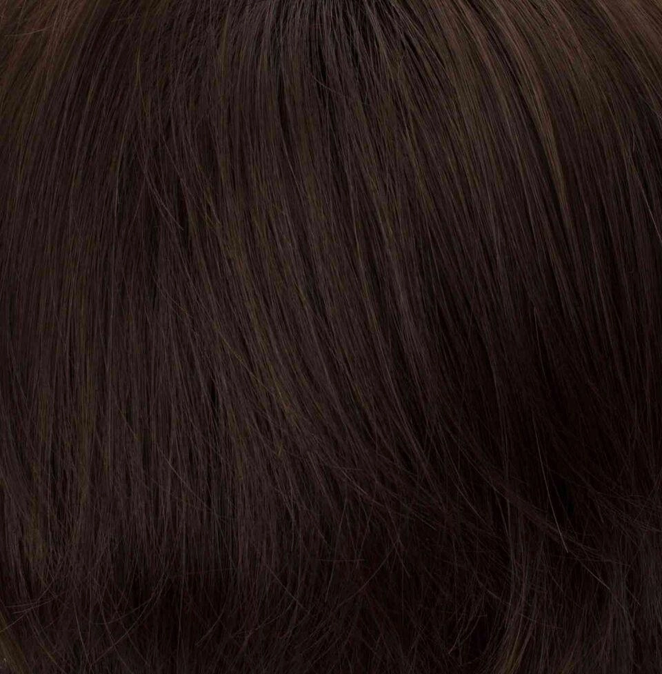 Accessories_Tony Of Beverly_Wigs Pin Up Clip-On Hairpiece by Tony of Beverly | Synthetic Hairpiece | Clearance Sale