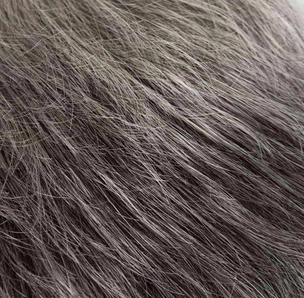 Accessories_Tony Of Beverly_Wigs Pixie Wig by Tony of Beverly | Synthetic Wig (Traditional Cap)