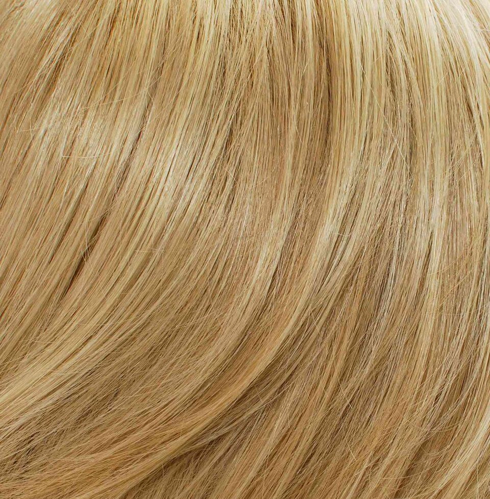 Accessories_Tony Of Beverly_Wigs Tasha Wig by Tony of Beverly | Synthetic Wig (Traditional Cap)