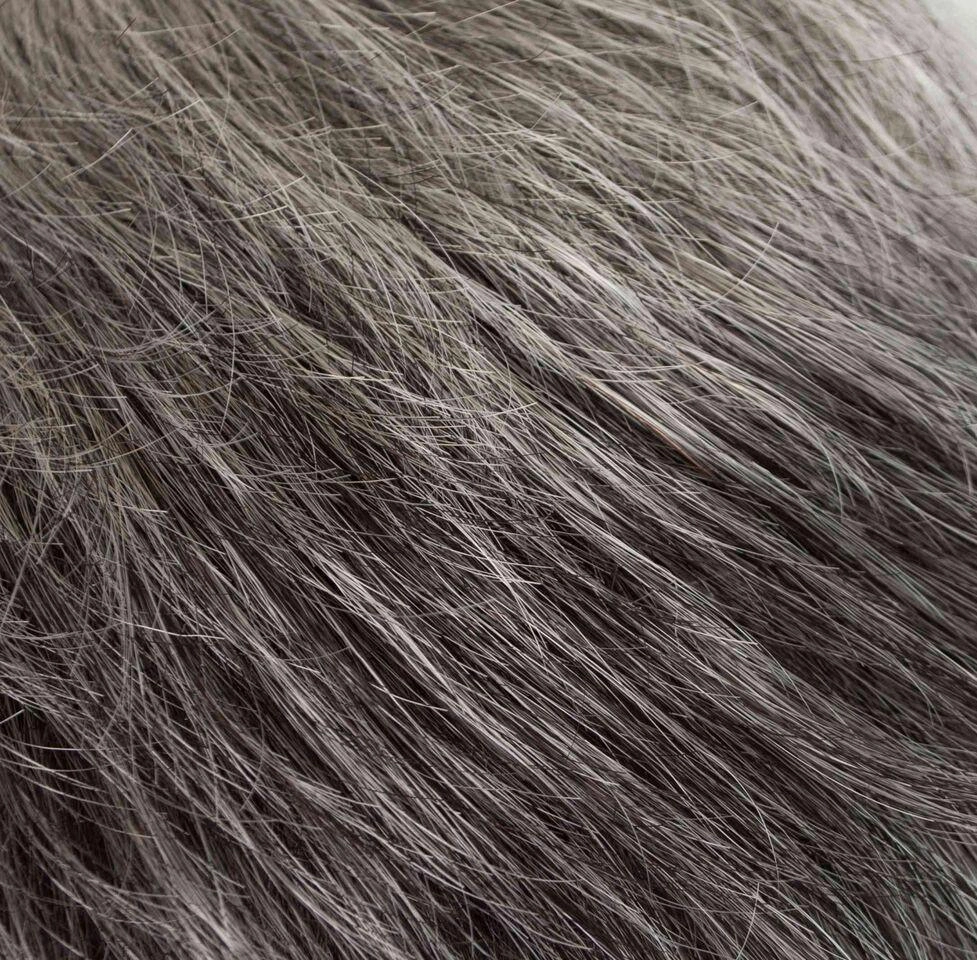 Accessories_Tony Of Beverly_Wigs Tawny Wig by Tony of Beverly | Synthetic Wig (Traditional Cap) | Clearance Sale