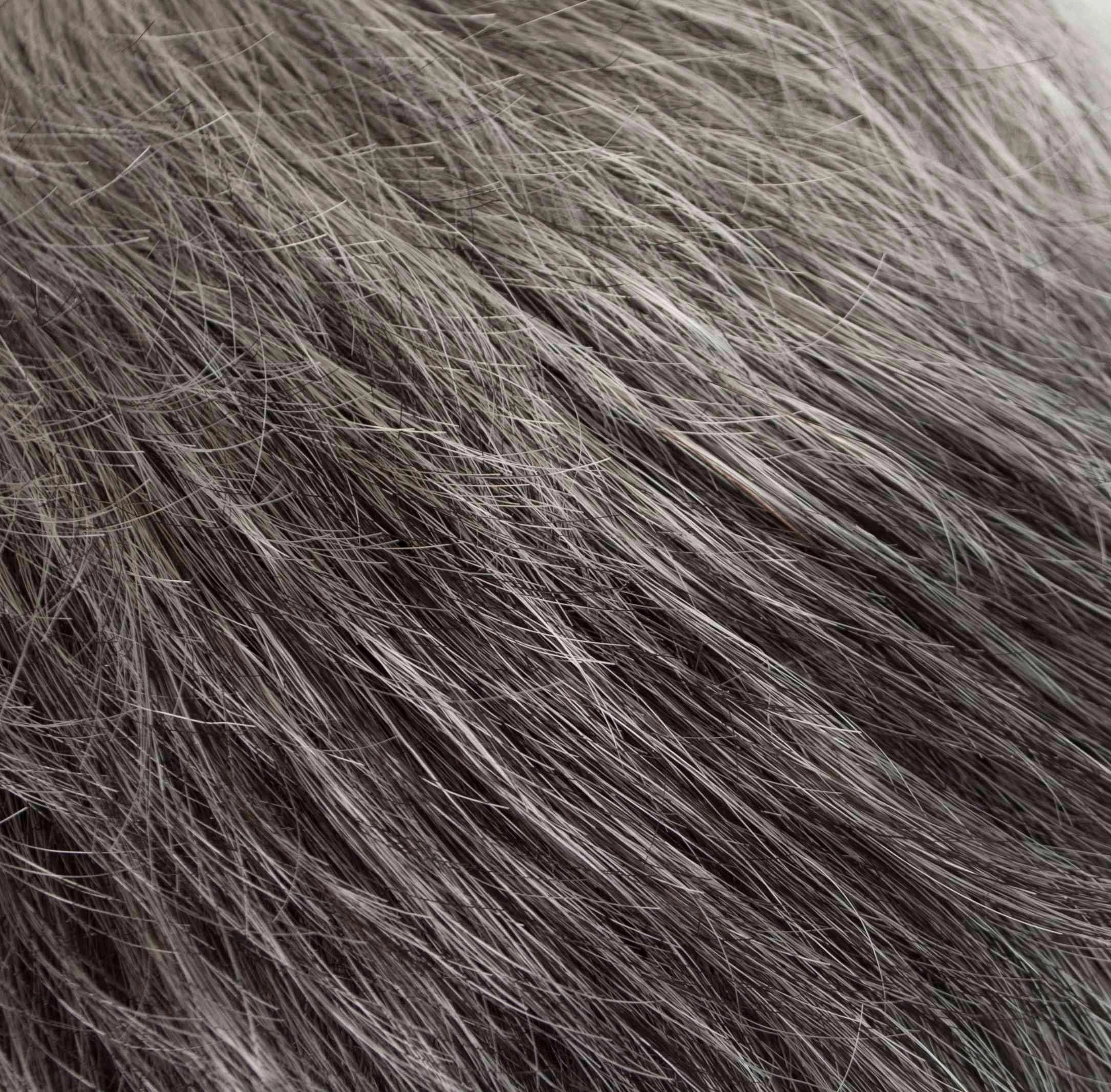 Accessories_Tony Of Beverly_Wigs Ultra Petite Dot Wig by Tony of Beverly | Synthetic Wig (Traditional Cap)