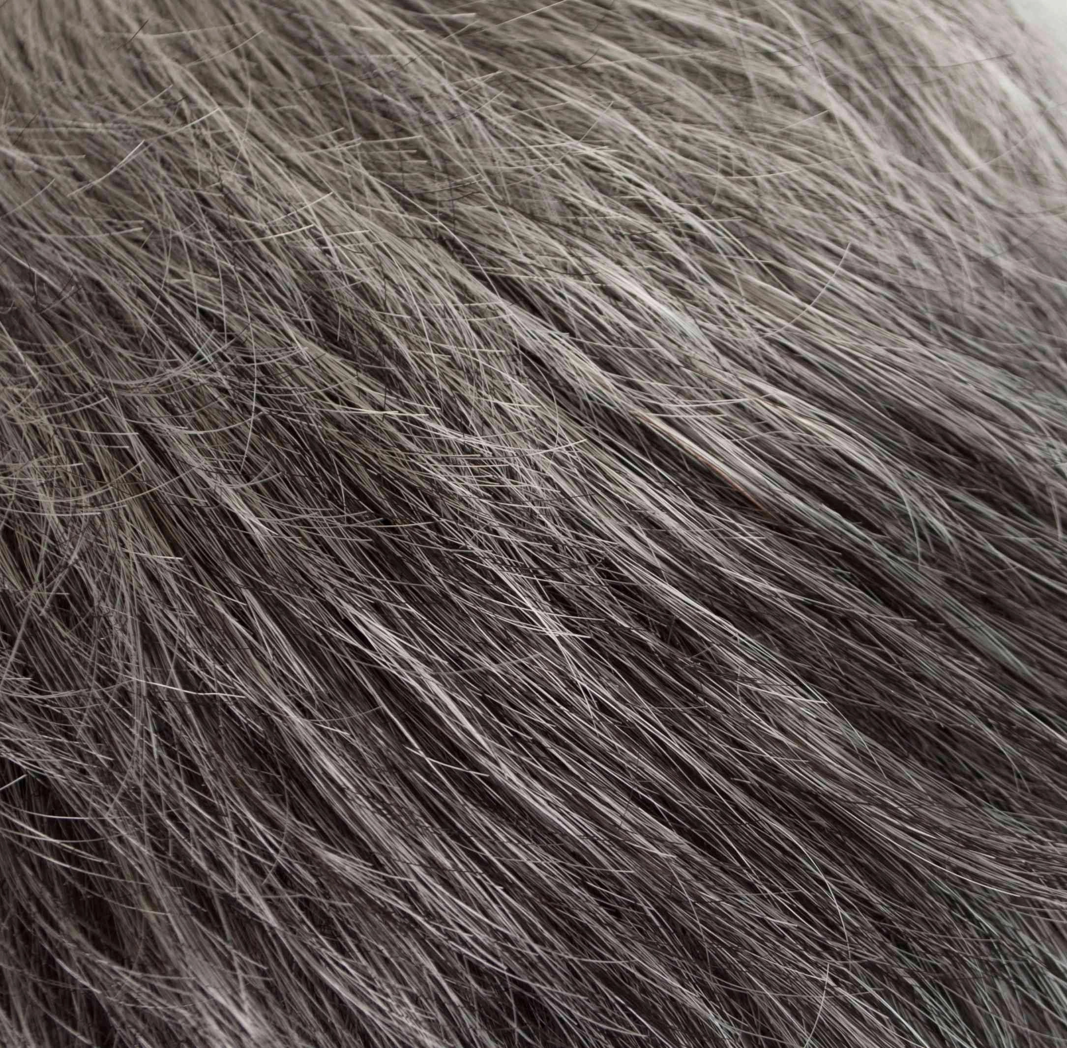 Accessories_Tony Of Beverly_Wigs Ultra Petite Peg Wig by Tony of Beverly | Synthetic Wig (Traditional Cap)