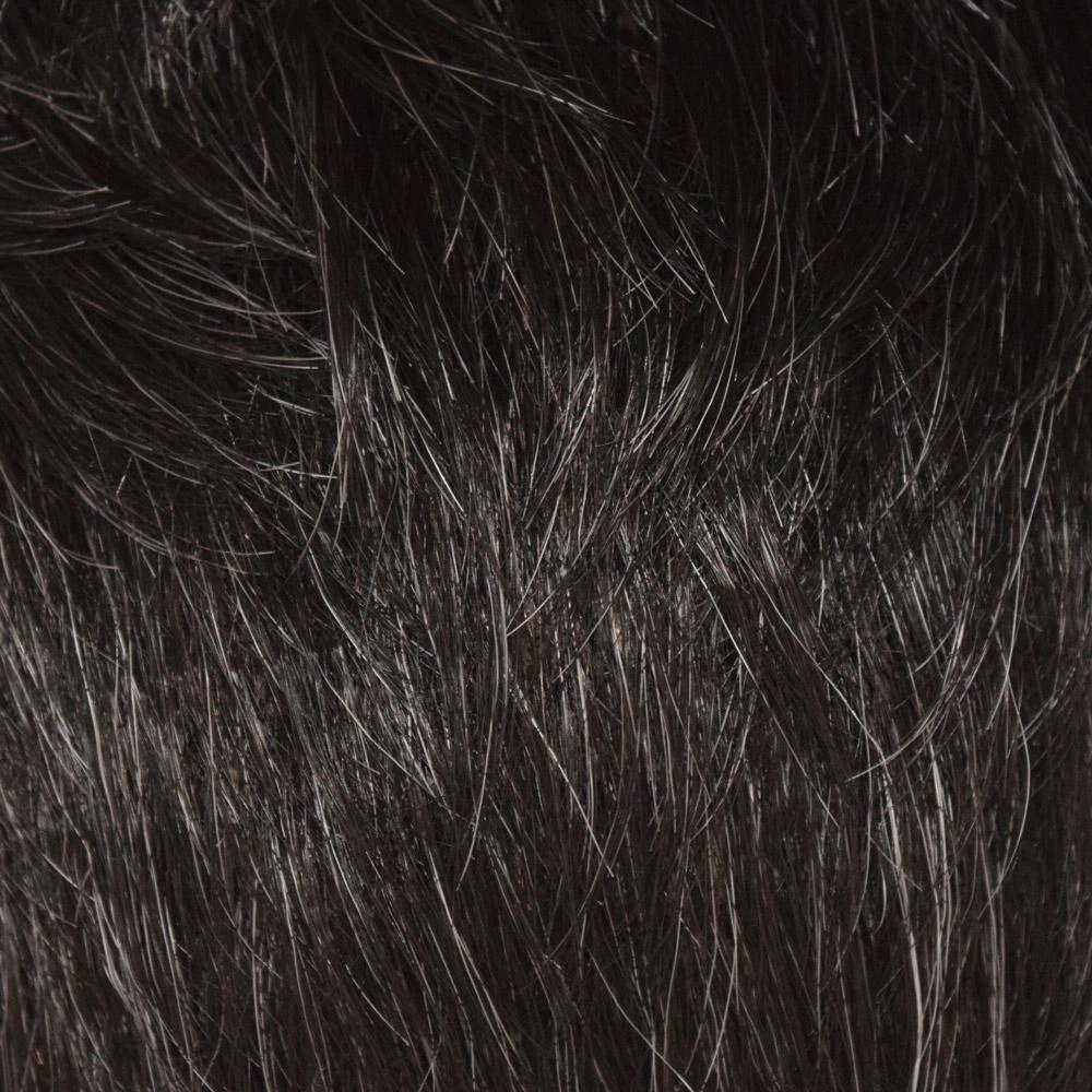 Accessories_Wig Pro By Wig Usa_Wigs Naivete (540) by Wig Pro: Synthetic Wig