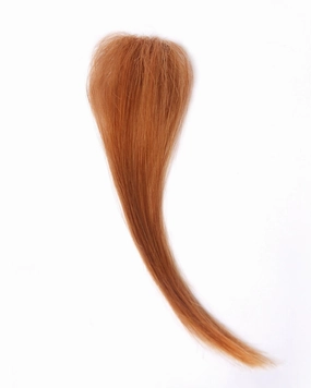 Accessories_Wig Pro_Wigs 313A | Add-On Clip-in Human Hair Extension by Wig Pro