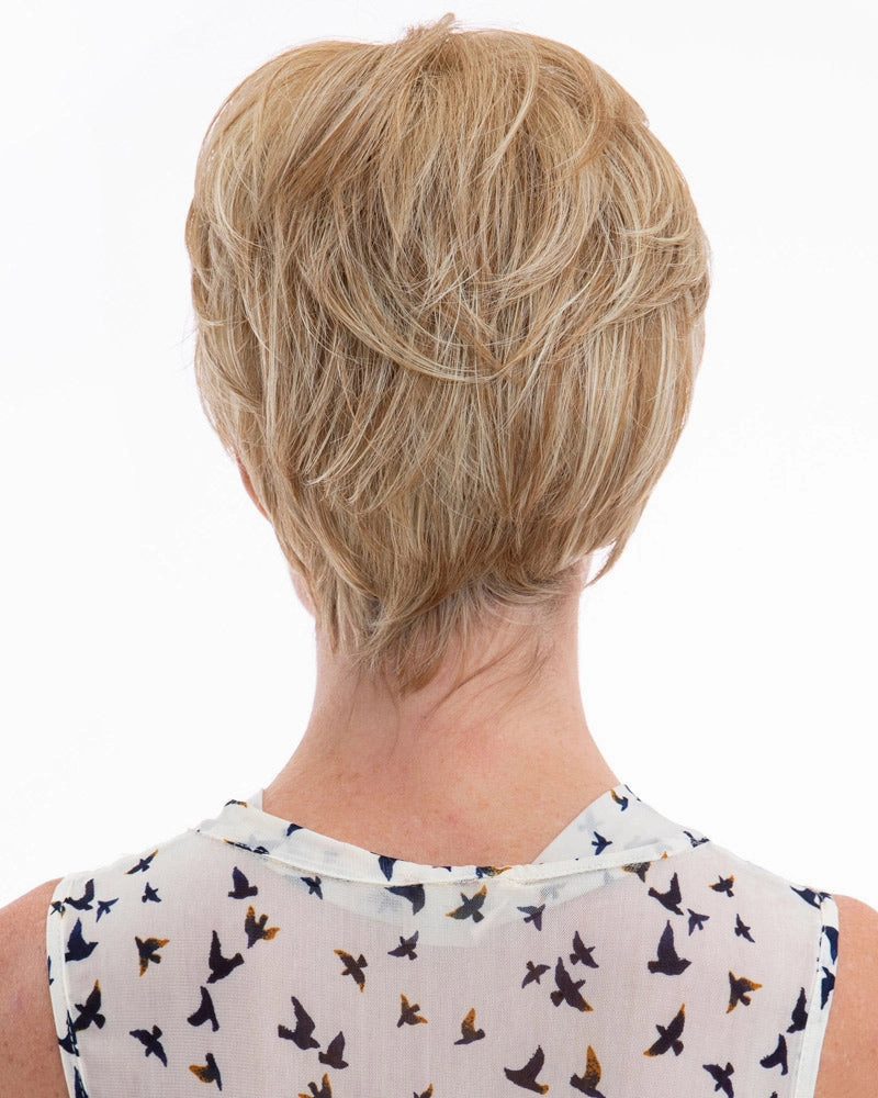 Accessories_Wig Pro_Wigs Claire | Lace Front & Monofilament Top Synthetic Wig by Wig Pro