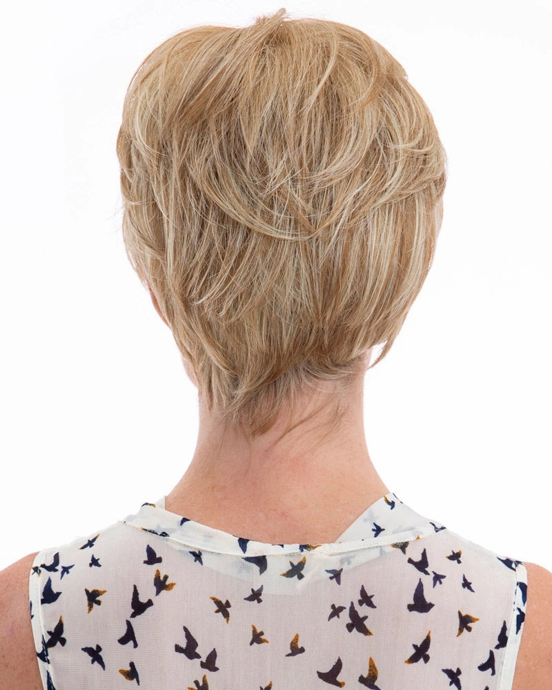 Accessories_Wig Pro_Wigs Claire (Exclusive) | Lace Front & Monofilament Top Synthetic Wig by Wig Pro