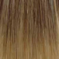 Accessories_Wigpro Collection_Wigs 504 Anemone: Synthetic Wig by WIGPRO
