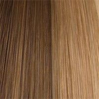Accessories_Wigpro Collection_Wigs 504 Anemone: Synthetic Wig by WIGPRO