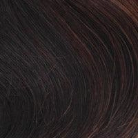 Accessories_Wigpro Collection_Wigs BA814 Crown Hairpiece by WigPro | Bali Synthetic Hair Pieces