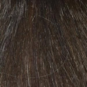 Add On Part Topper by Envy | Heat Friendly/Human Hair Blend Hairpiece (Monofilament Base)