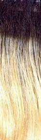 Allure Wig by Jon Renau | Synthetic (Traditional Cap)