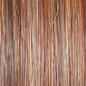 Always Wig by Raquel Welch | Large Heat Friendly Synthetic (Traditional Cap)