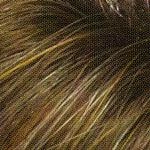 Amy Wig by Envy | Synthetic (Lace Front Mono Part)