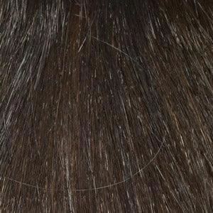 Amy Wig by Envy | Synthetic (Lace Front Mono Part)