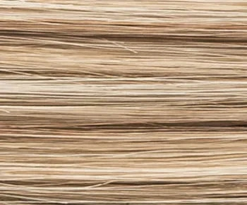 Attract Mono wig - Ellen Wille Prime Power Collection