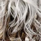 Avalon Wig by Estetica Designs | Synthetic (Lace Front)