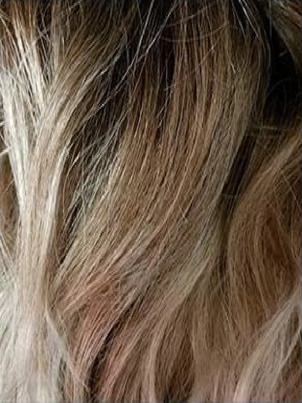 Avalon Wig by Rene of Paris | Alexander Couture Collection