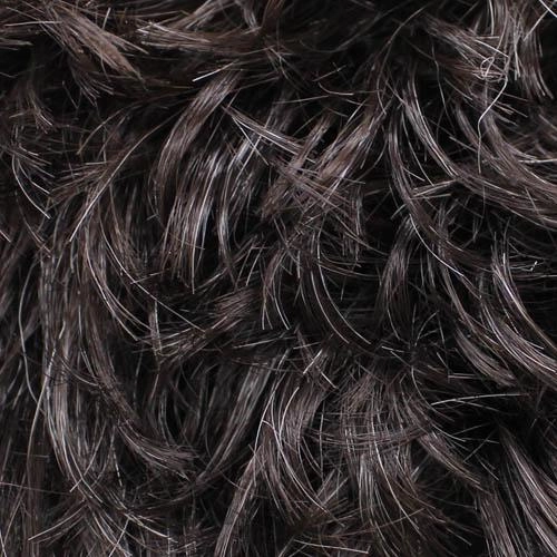 BA501 P. Char: Bali Synthetic Hair Wig