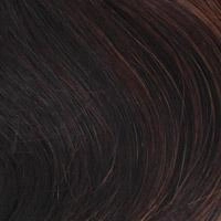 BA814 Crown: Bali Synthetic Hair Pieces