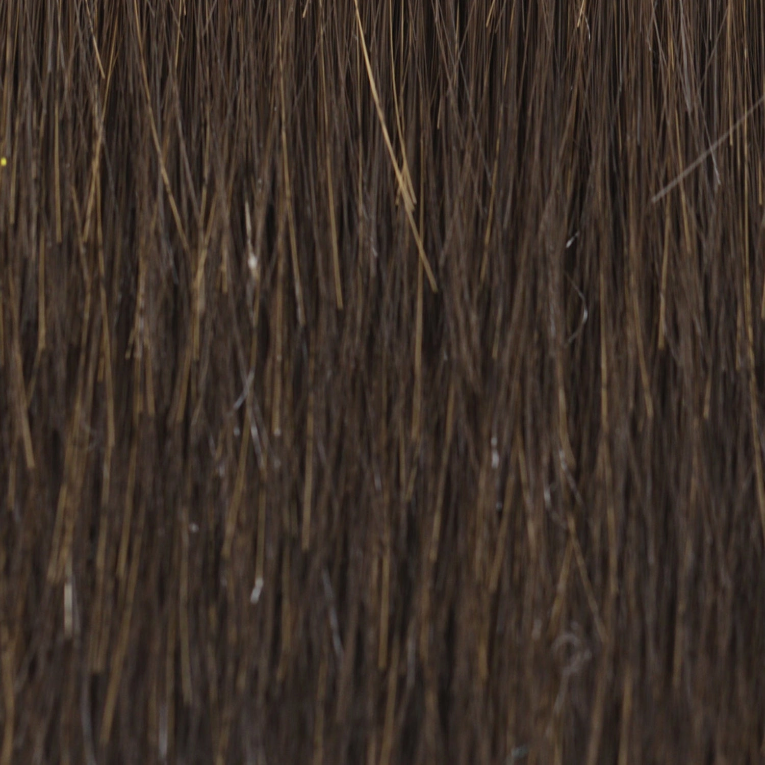 Beach Wave Magic Wig by TressAllure | Heat Friendly Synthetic Hair | Average Cap