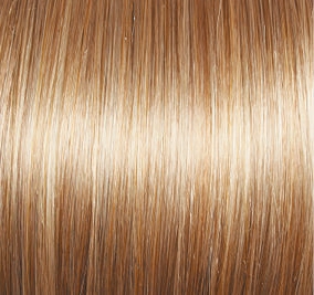 Blushing Beauty Wig by Gabor | Lace Front | Mono Part | Synthetic Fiber