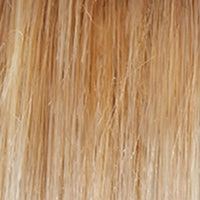 Blushing Beauty Wig by Gabor | Lace Front | Mono Part | Synthetic Fiber