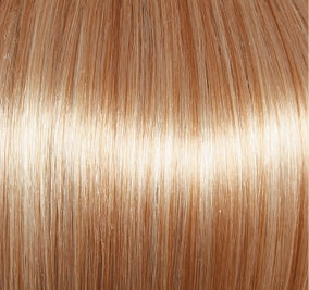 Blushing Beauty Wig by Gabor | Lace Front | Mono Part | Synthetic Fiber
