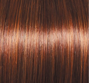 Blushing Beauty Wig by Gabor | Lace Front | Mono Part | Synthetic Fiber