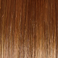 Blushing Beauty Wig by Gabor | Lace Front | Mono Part | Synthetic Fiber