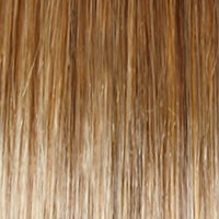 Blushing Beauty Wig by Gabor | Lace Front | Mono Part | Synthetic Fiber