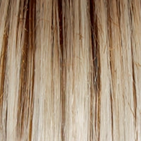 Blushing Beauty Wig by Gabor | Lace Front | Mono Part | Synthetic Fiber