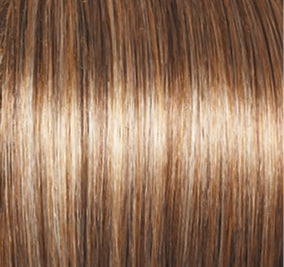 Blushing Beauty Wig by Gabor | Lace Front | Mono Part | Synthetic Fiber