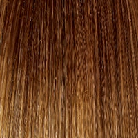 Blushing Beauty Wig by Gabor | Lace Front | Mono Part | Synthetic Fiber