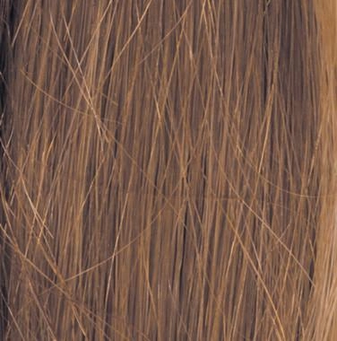 Bravo Wig by Raquel Welch | Human Hair (Lace Front Mono Top)