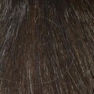 Bryn Wig by Envy | Synthetic (Traditional Cap)