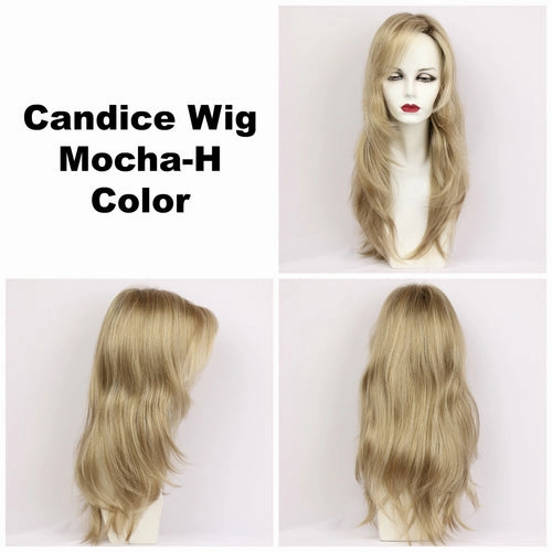 Candice Wig by Godiva Secret Wigs | Synthetic Hair | Average Cap