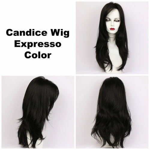 Candice Wig by Godiva Secret Wigs | Synthetic Hair | Average Cap