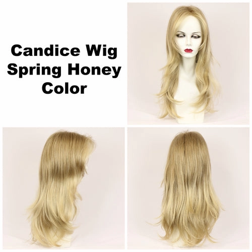 Candice Wig by Godiva Secret Wigs | Synthetic Hair | Average Cap