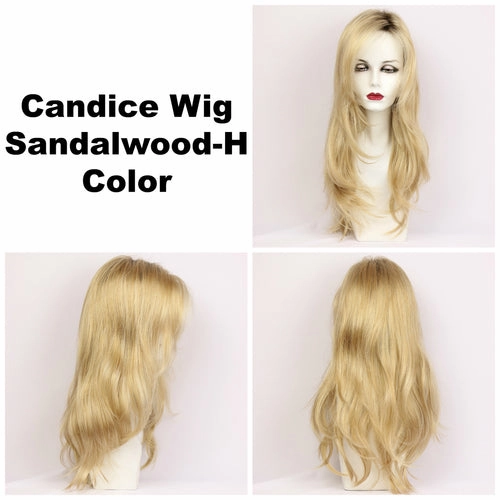 Candice Wig by Godiva Secret Wigs | Synthetic Hair | Average Cap
