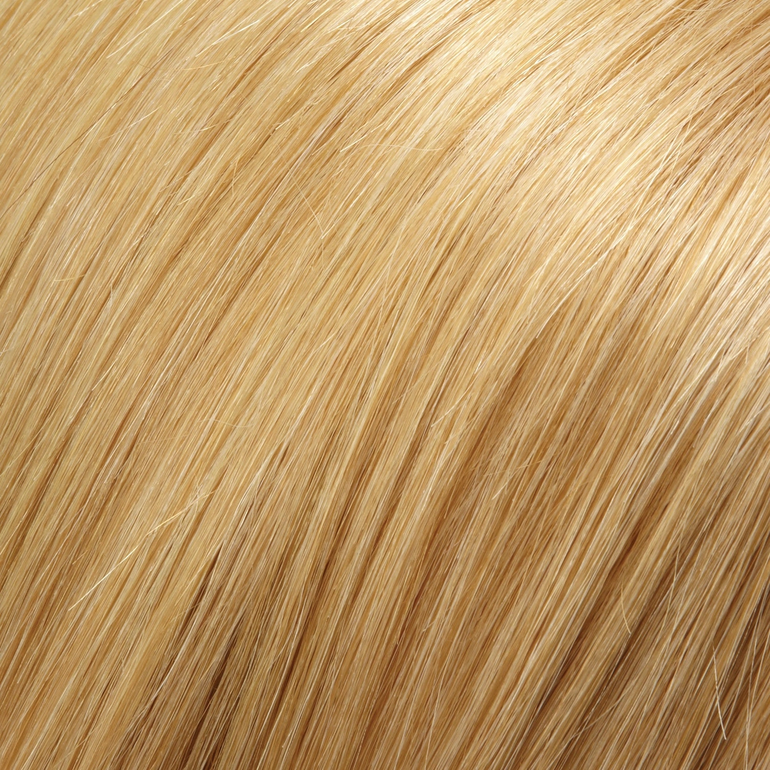 Cara Wig by Jon Renau (Exclusive Colors) | Human Hair